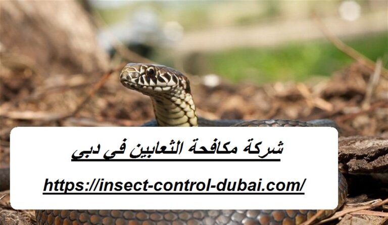 شركة مكافحة الثعابين في دبي |0501732352| طرد افاعي