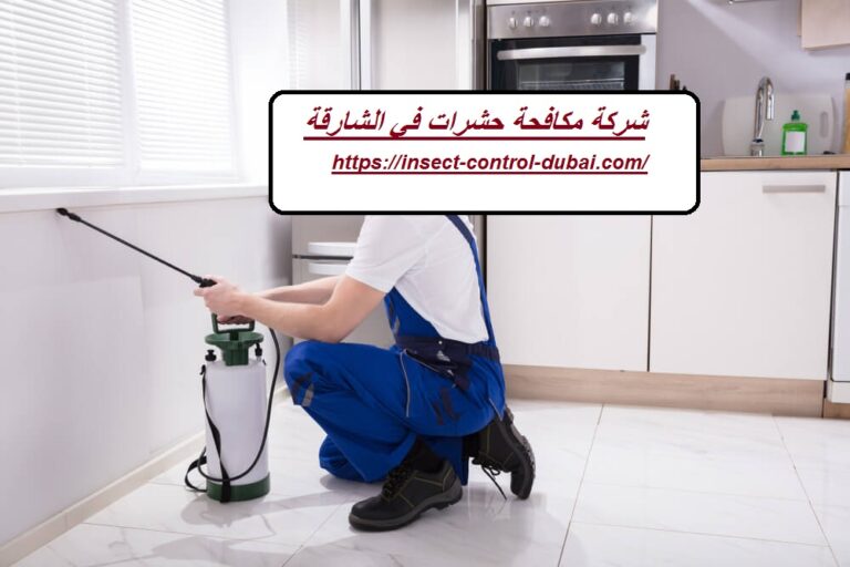 شركة مكافحة حشرات في الشارقة |0501732352| رش الحشرات