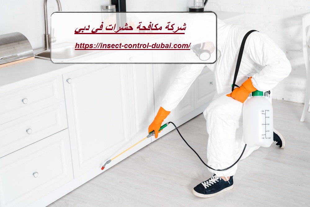 شركة مكافحة حشرات في دبي