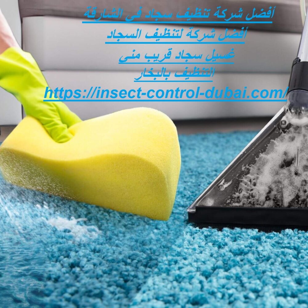 شركة تنظيف سجاد فى الشارقة