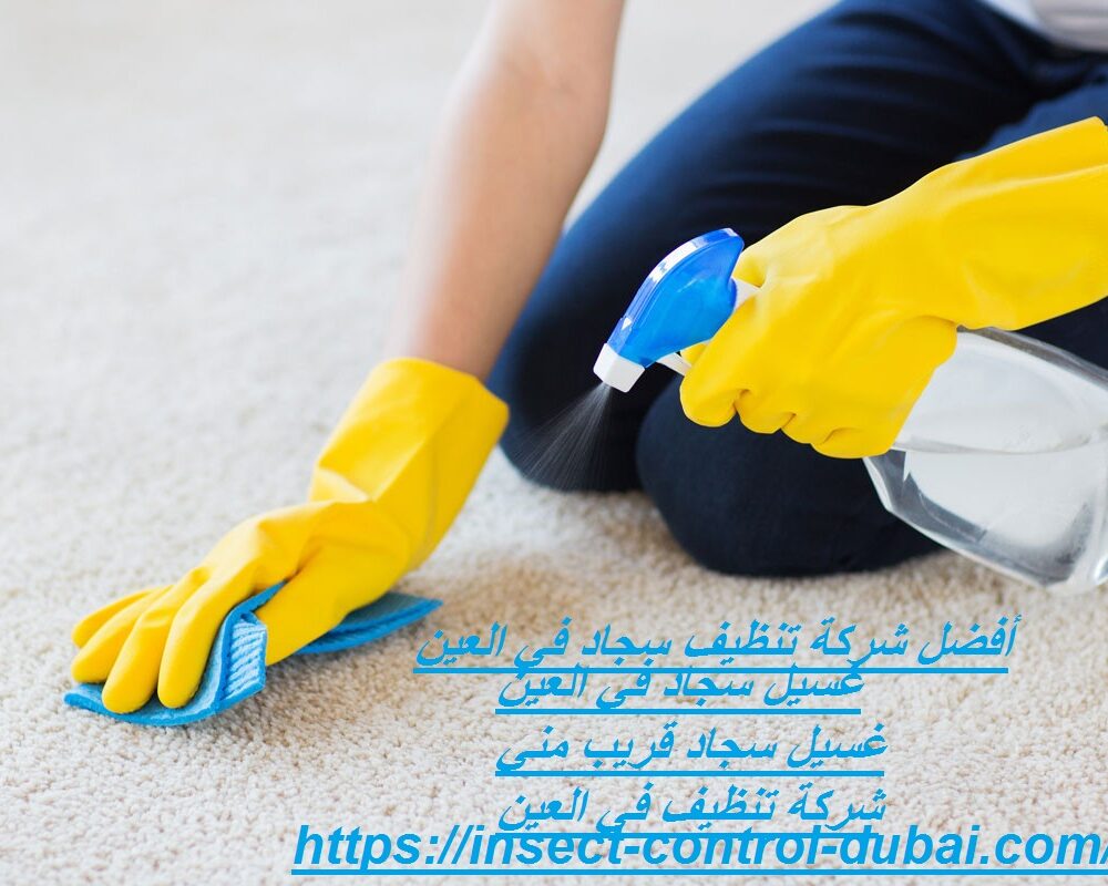 شركة تنظيف سجاد في العين