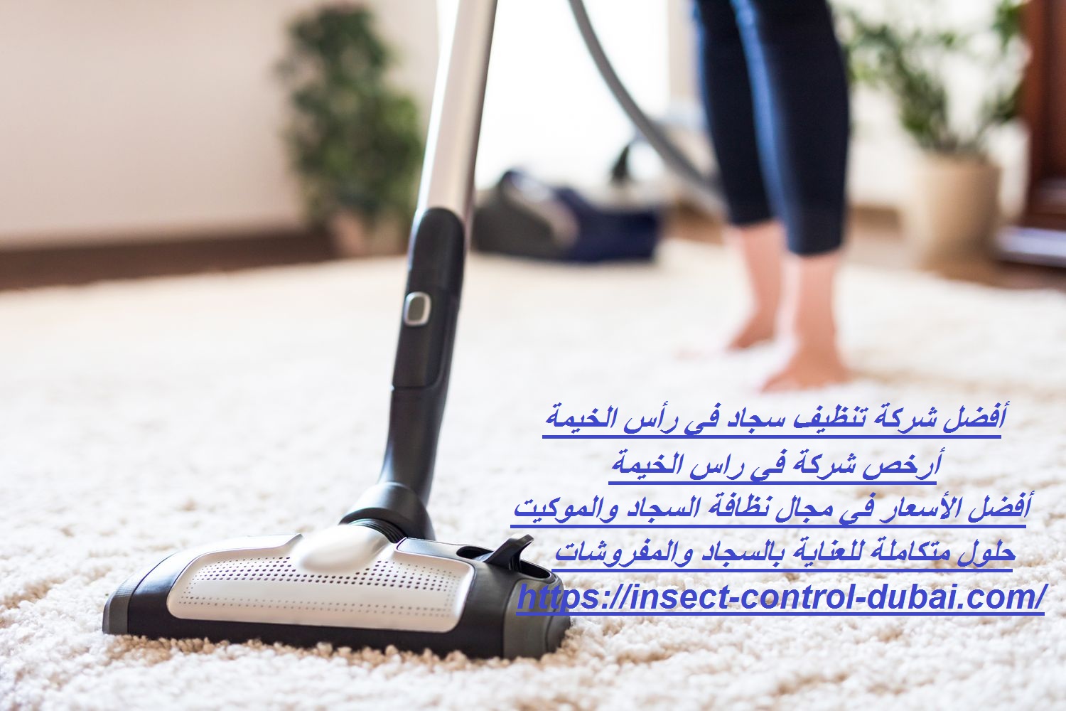 شركة تنظيف سجاد في رأس الخيمة