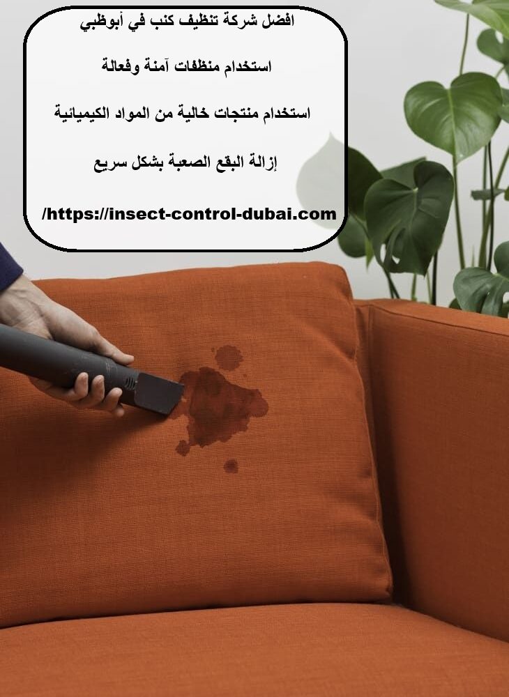 افضل شركة تنظيف كنب في أبوظبي