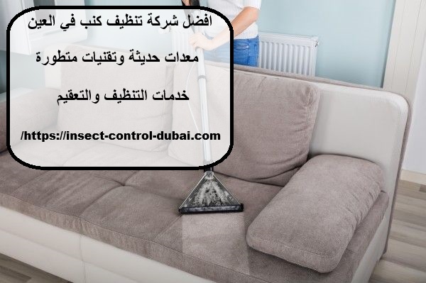 افضل شركة تنظيف كنب في العين