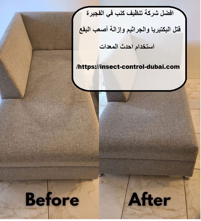 افضل شركة تنظيف كنب في الفجيرة