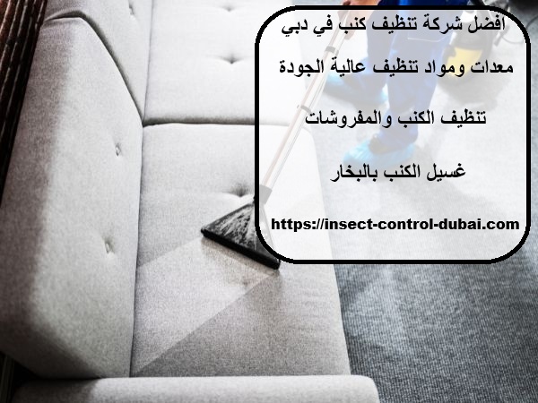 افضل شركة تنظيف كنب في دبي