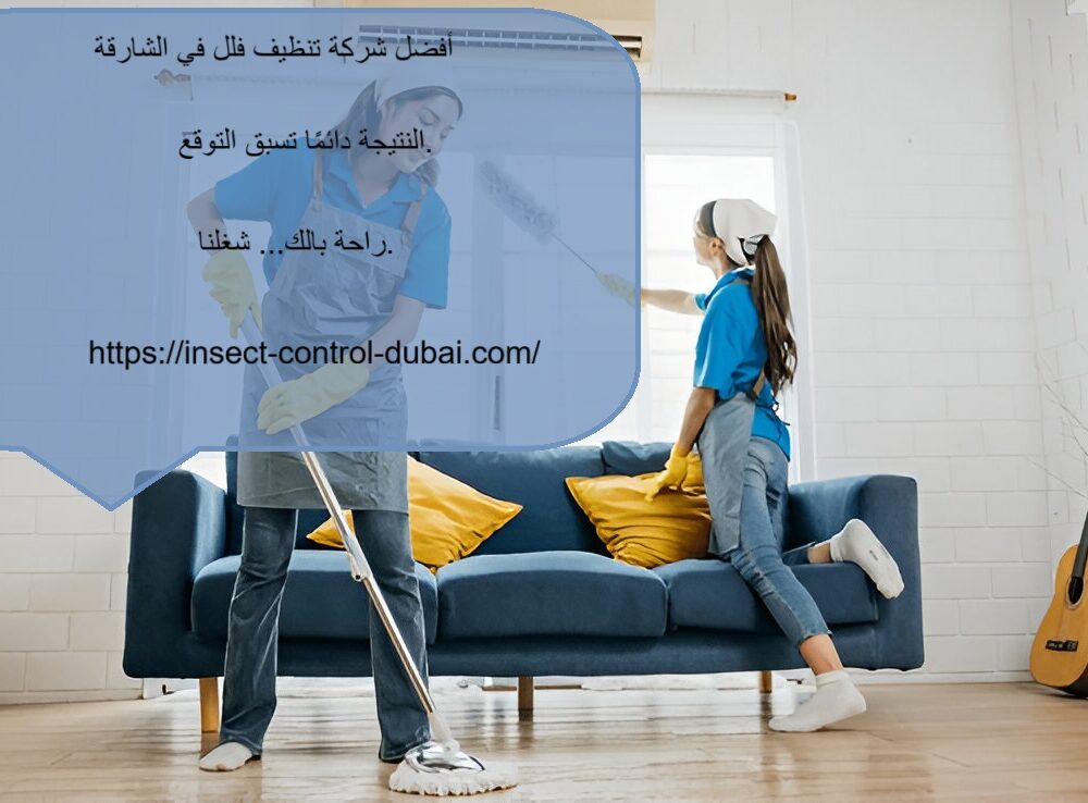 شركة تنظيف فلل في الشارقة