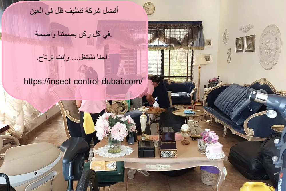 شركة تنظيف فلل في العين