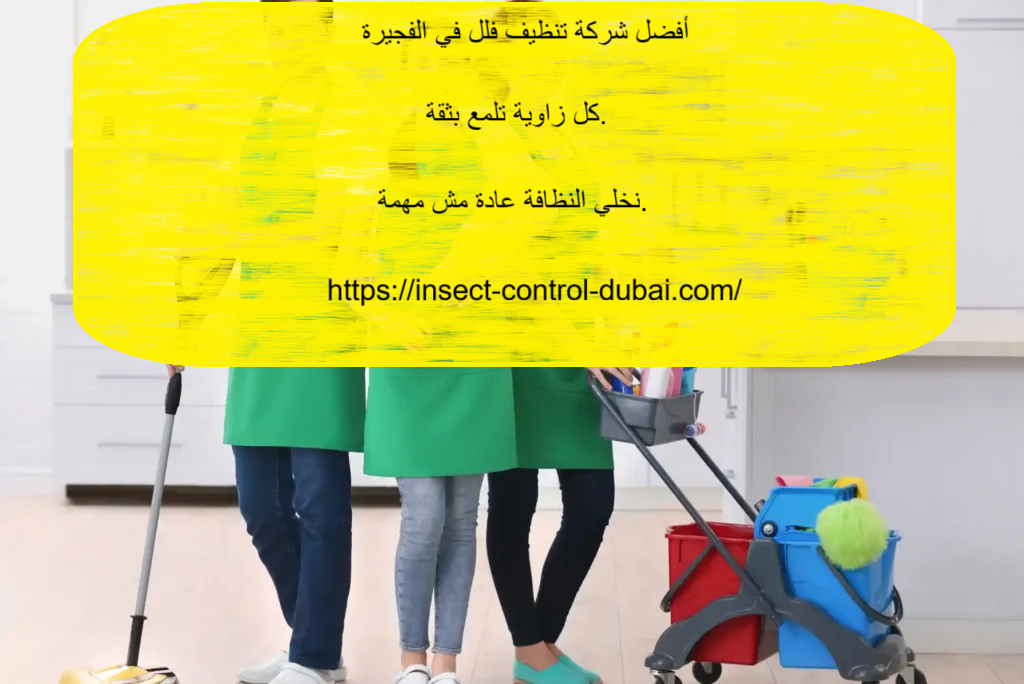 شركة تنظيف فلل في الفجيرة