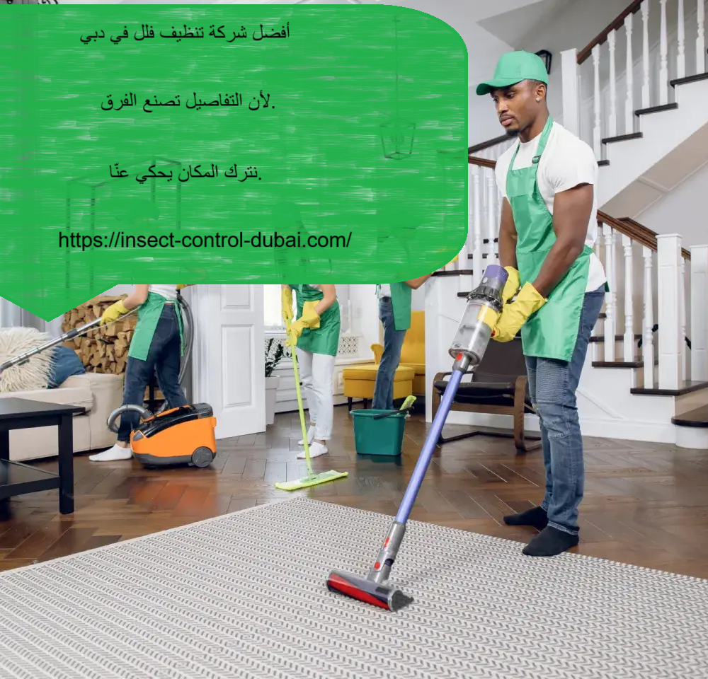 شركة تنظيف فلل في دبي