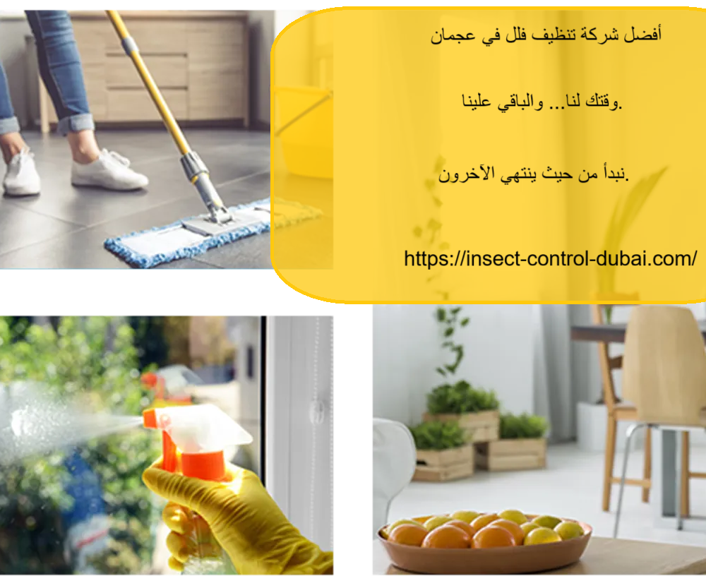 شركة تنظيف فلل في عجمان