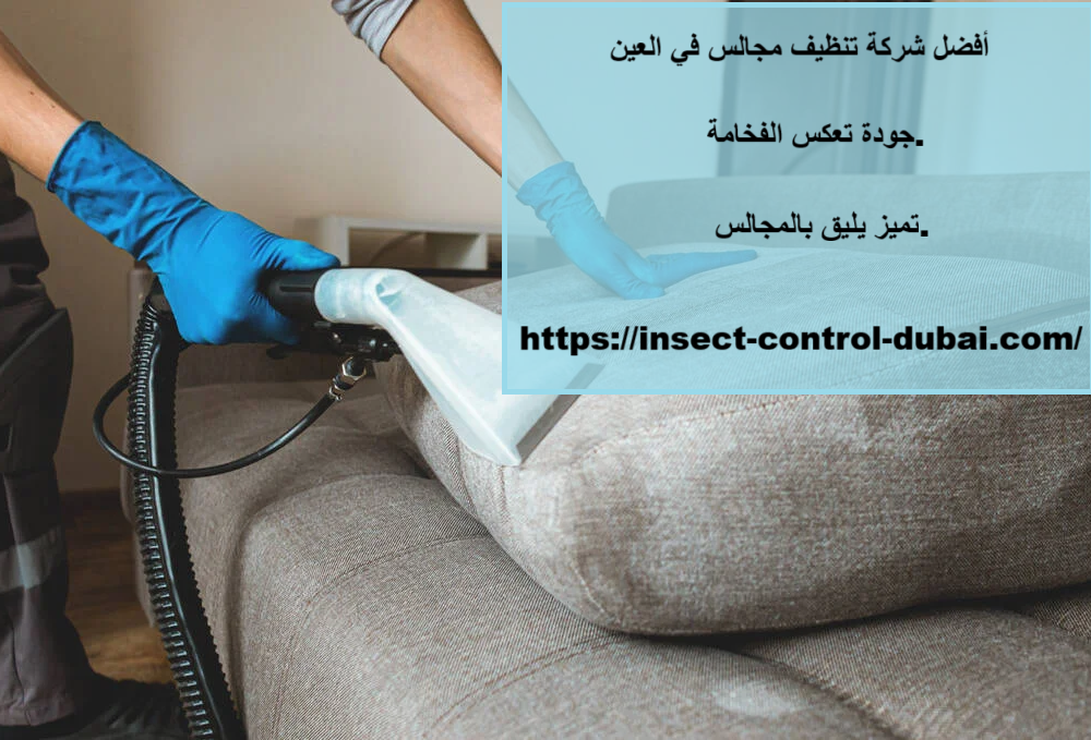 شركة تنظيف مجالس في العين