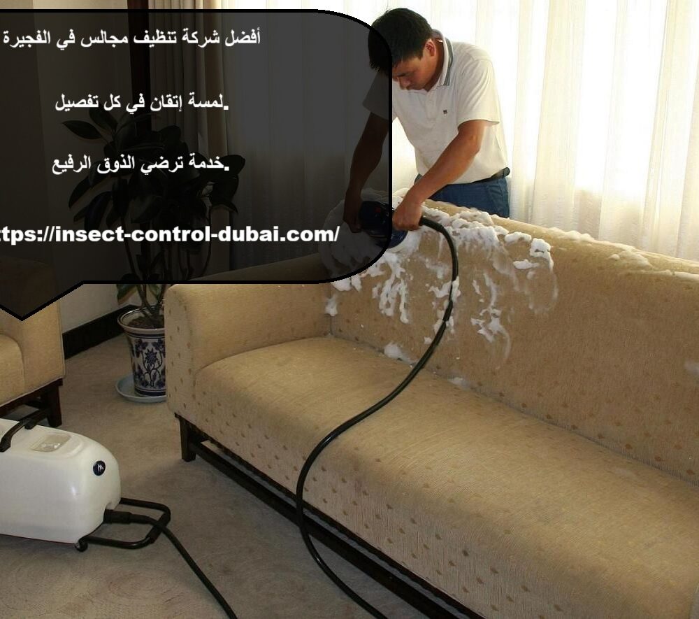 شركة تنظيف مجالس في الفجيرة