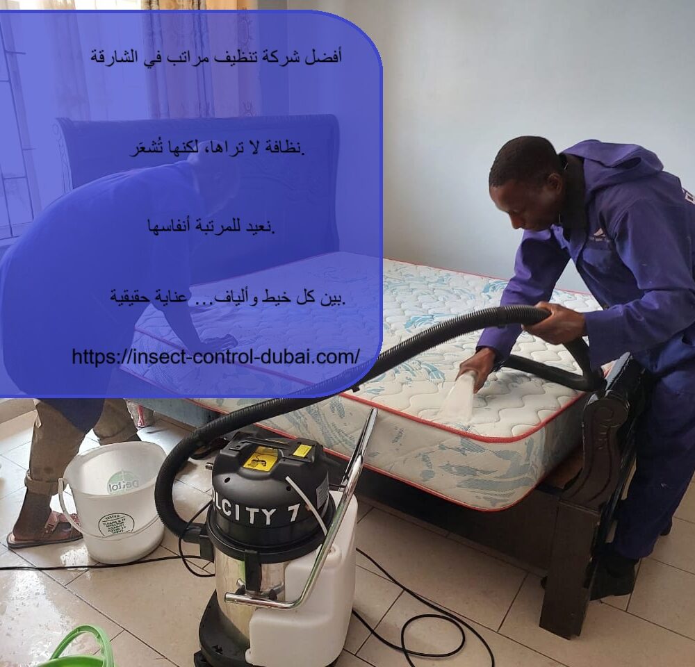 شركة تنظيف مراتب في الشارقة