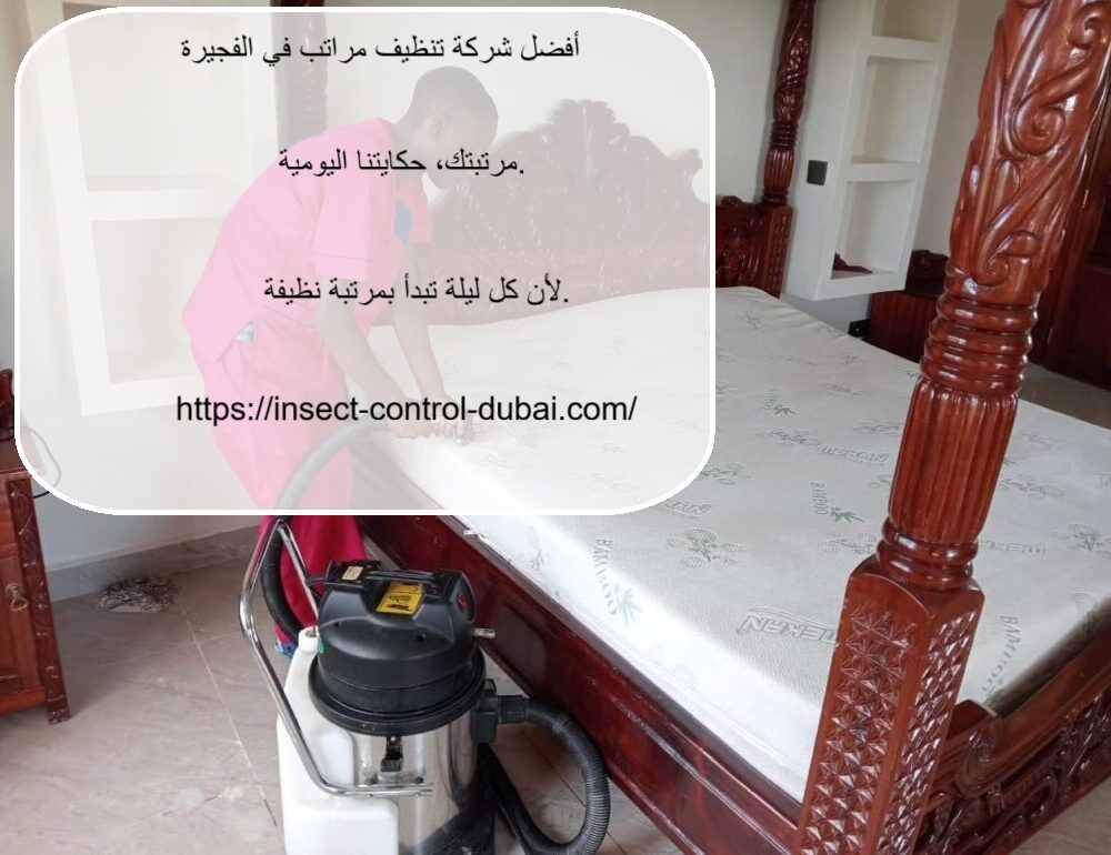 شركة تنظيف مراتب في الفجيرة