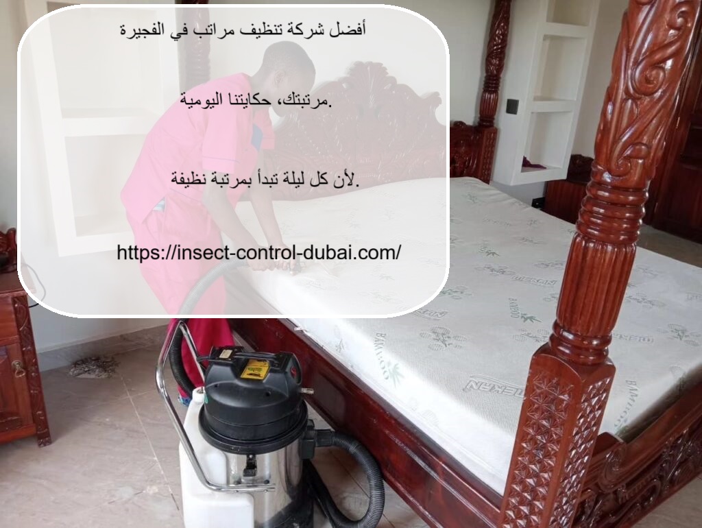 شركة تنظيف مراتب في الفجيرة