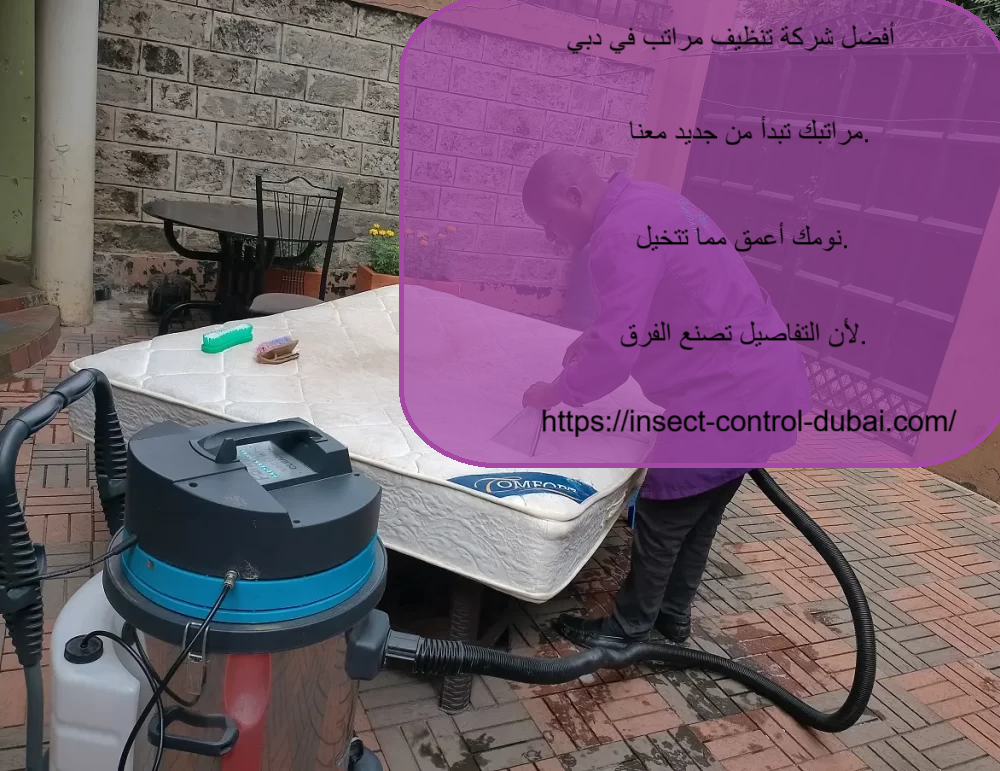 شركة تنظيف مراتب في دبي