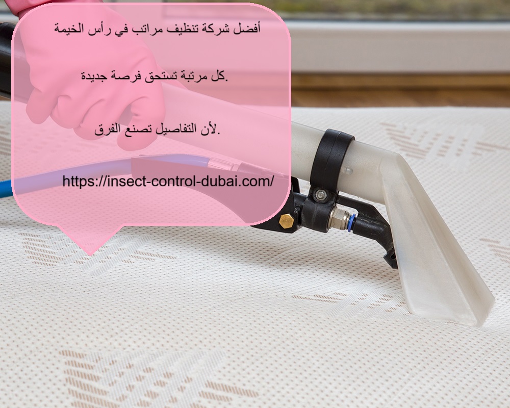 شركة تنظيف مراتب في رأس الخيمة