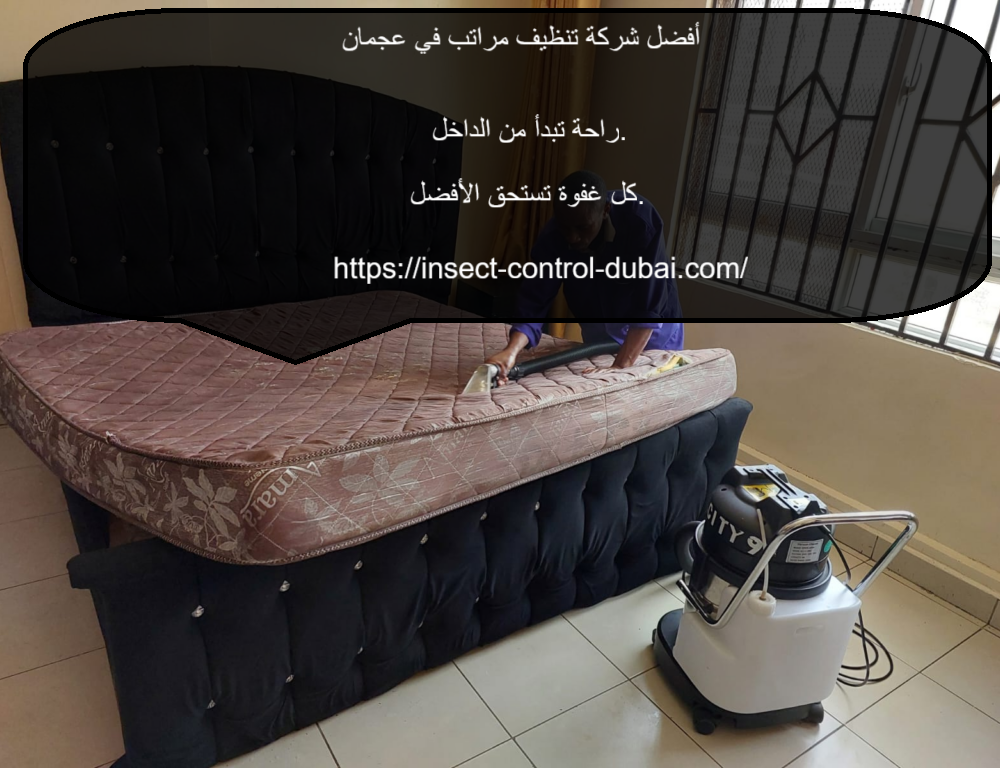 شركة تنظيف مراتب في عجمان