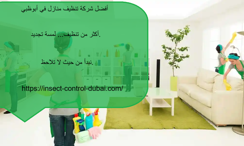 شركة تنظيف منازل في أبوظبي