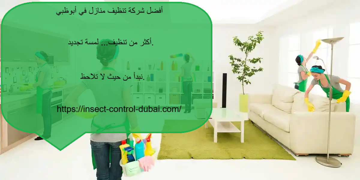 شركة تنظيف منازل في أبوظبي