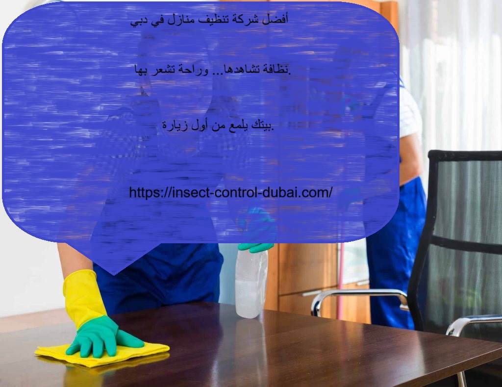 شركة تنظيف منازل في دبي