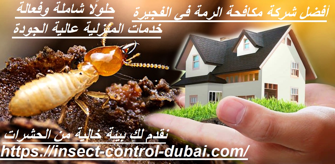 شركة مكافحة الرمة في الفجيرة