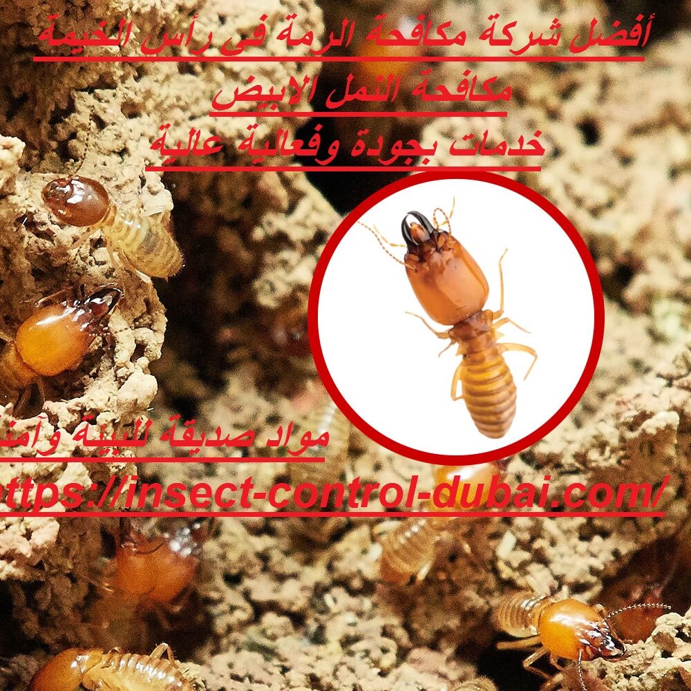 شركة مكافحة الرمة في رأس الخيمة