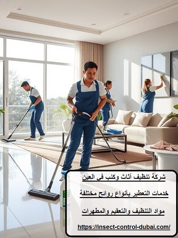 شركة تنظيف أثاث وكنب في العين