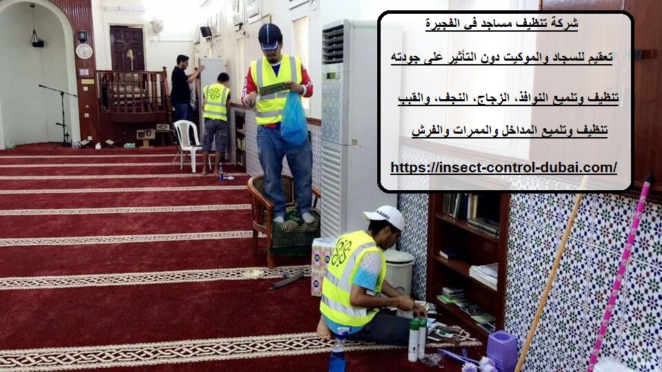 شركة تنظيف مساجد في الفجيرة