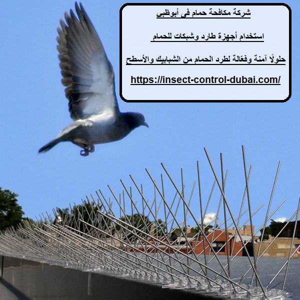 شركة مكافحة حمام فى أبوظبي