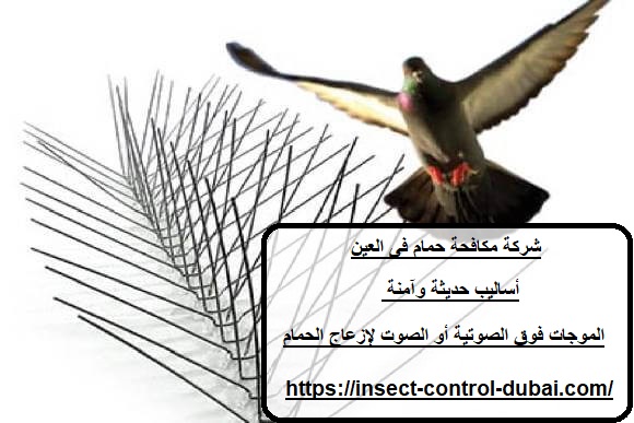شركة مكافحة حمام فى العين