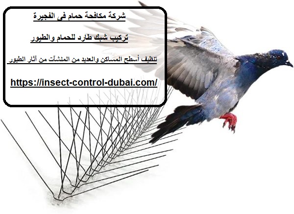 شركة مكافحة حمام فى الفجيرة