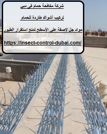 شركة مكافحة حمام فى دبي