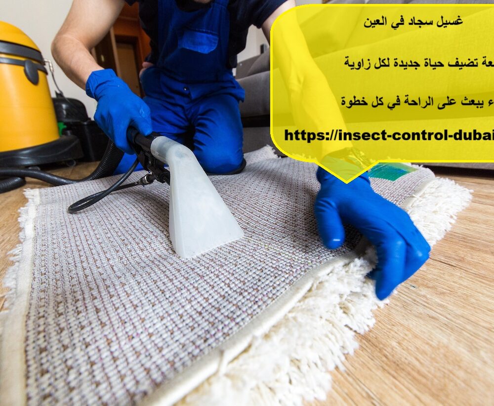 غسيل سجاد في العين