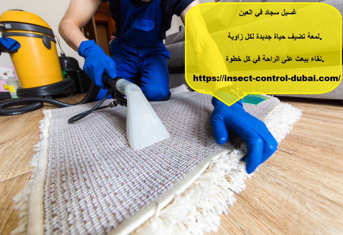 غسيل سجاد في العين