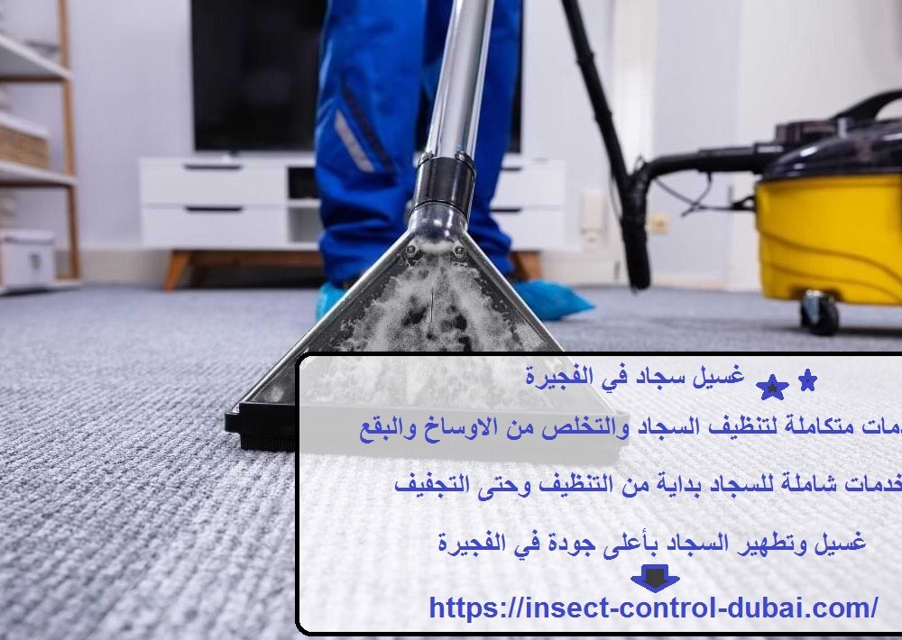 غسيل سجاد في الفجيرة