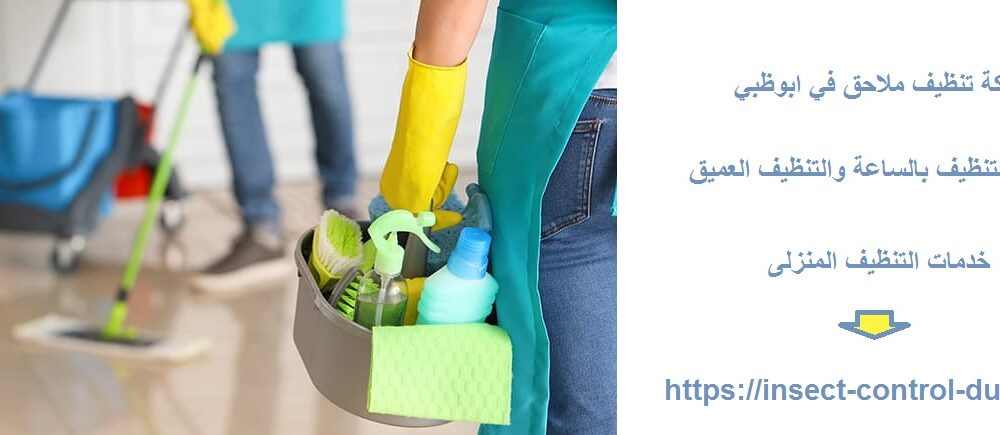 شركة تنظيف ملاحق في ابوظبي