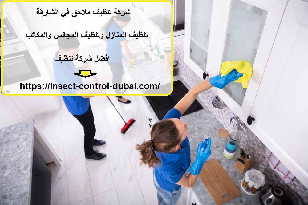شركة تنظيف ملاحق في الشارقة