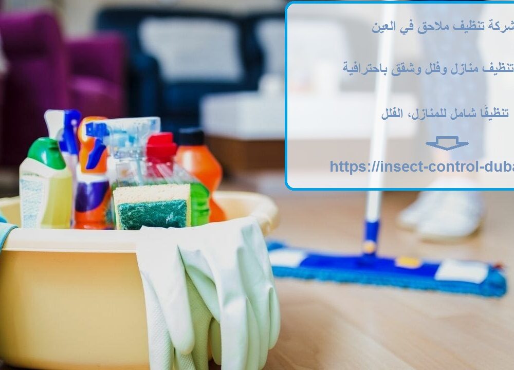 شركة تنظيف ملاحق في العين