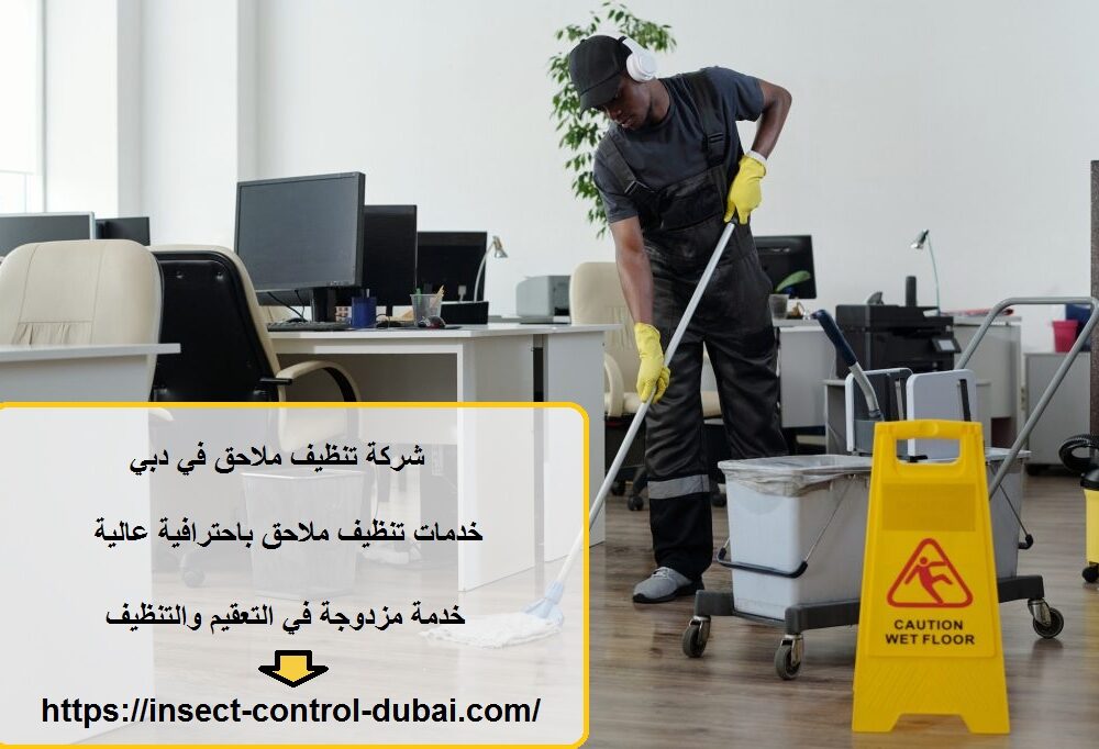 شركة تنظيف ملاحق في دبي