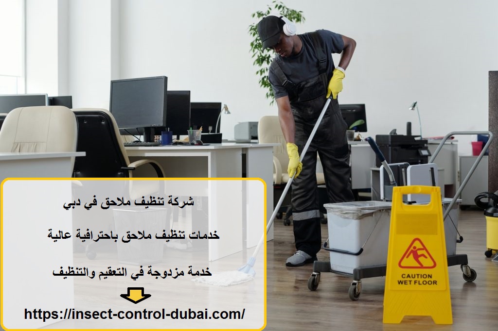 شركة تنظيف ملاحق في دبي
