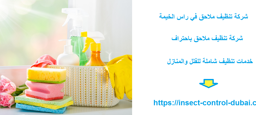 شركة تنظيف ملاحق في راس الخيمة