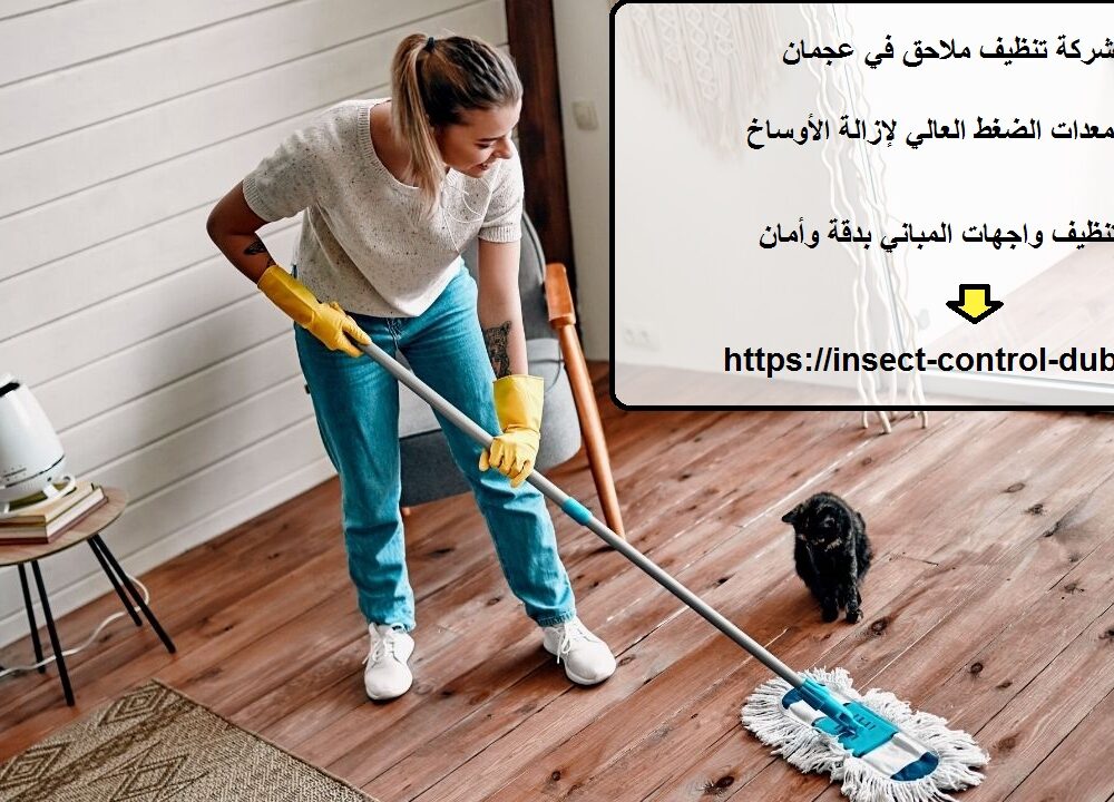 شركة تنظيف ملاحق في عجمان